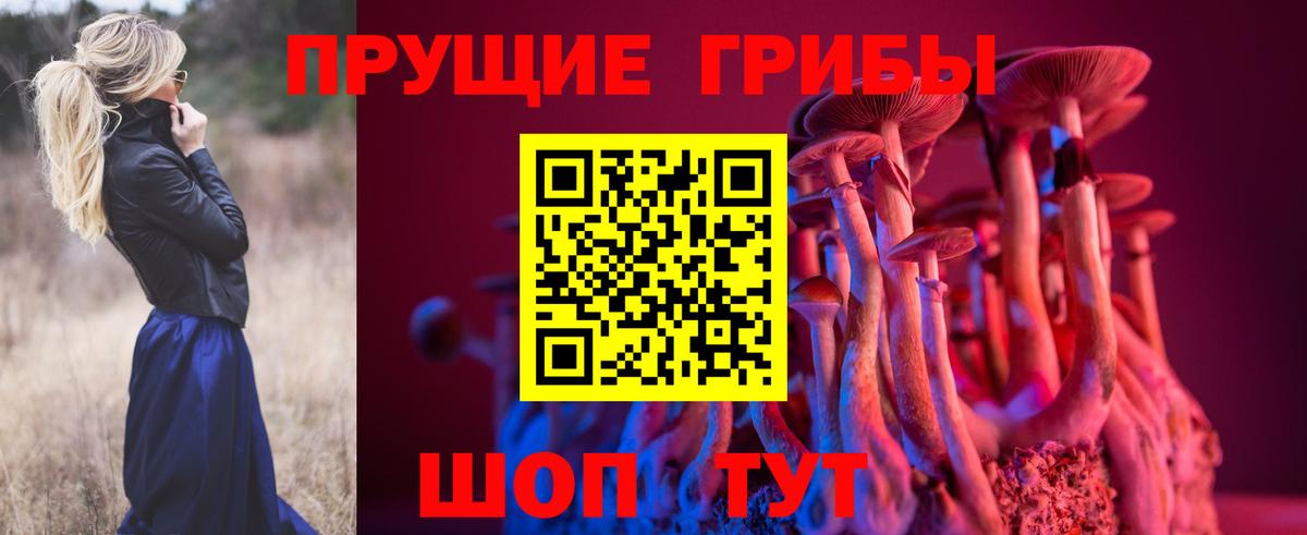 Саров  Псилоцибиновые грибы мицелий  Вход с VPN 